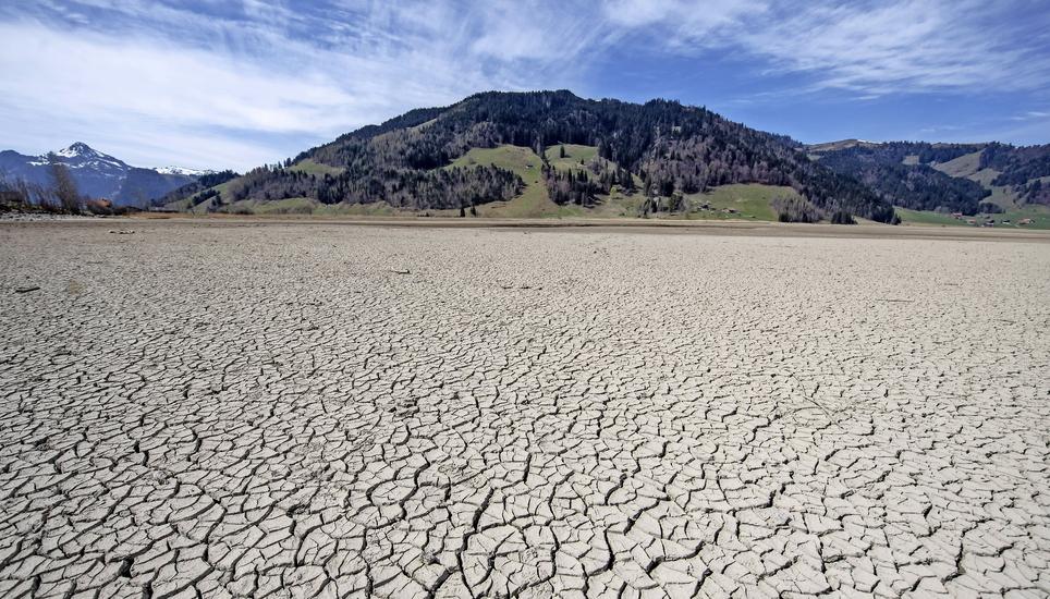 Die Hitze trocknet die Böden auch in der Schweiz aus. Bild: Keystone
