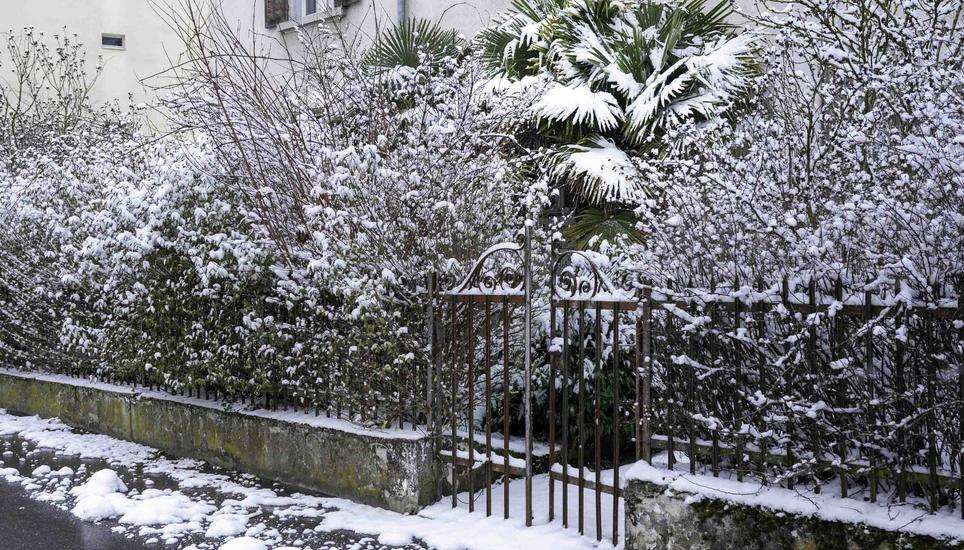 Nicht nur in höheren Lagen ist der Schnee liegengeblieben, sondern auch etwa hier, in Neuhausen. Bild: Jeannette Vogel