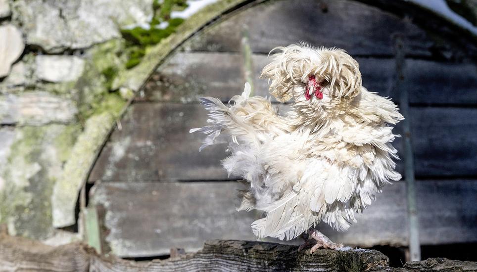 Endlich zu Hause: Erna kann ihr Glück kaum fassen und blickt neugierig in die Runde.