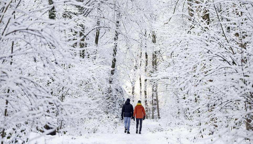 Die «Farben des Winters» bestehen nicht nur aus Weiss und Blau. Bild: Key