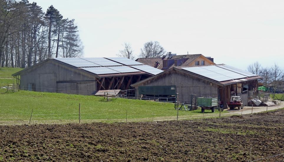 Auf dem Hof der Familie Stutz auf dem Siblinger Randen hat die Energiegenossenschaft «Randensaft» eine Fotovoltaikanlage gebaut. Bild: Thomas Güntert