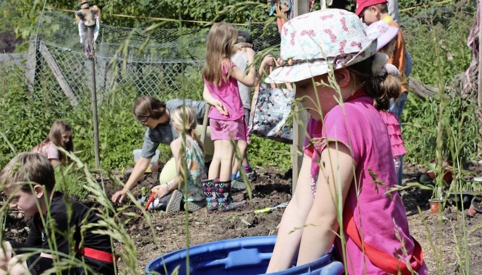 Schwitzen und «Ackern» war beim Graben der Mulden und beim Setzen des Gemüses im Garten bei den Hallauer Tandem-Schülern angesagt. Die «Gemüseackerdemie» zeigt den Kindern auf, wie ihr Essen auf den Teller kommt. Bild: Nicole Peter