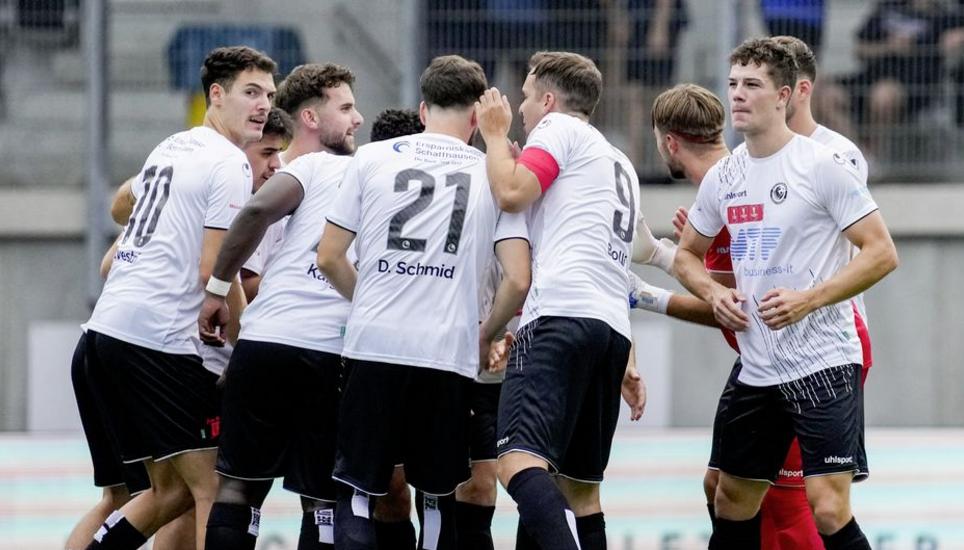 Die Mannschaft der «Spielvi» freut sich über einen weiteren Sieg. Bild: alb