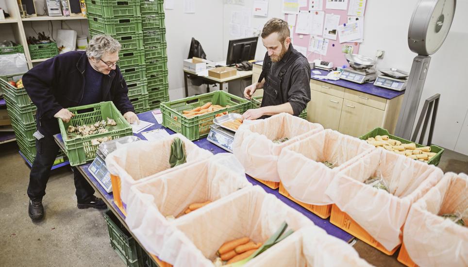 Beim Bepacken der rund 200 Kisten: Hubertus Frey mit Lehrling Thiemo Rüegg. Bild: Melanie Duchene Zu Besuch auf dem Altra Hof, deren Biokiste gibt es seit 20 Jahren, Bild zeigt Hubertus Frey mit Lehrling Thiemo Rï¿ï¾¼egg, am Mittwoch, 18. Dezember 2024. (Melanie Duchene / Schaffhauser Nachricht