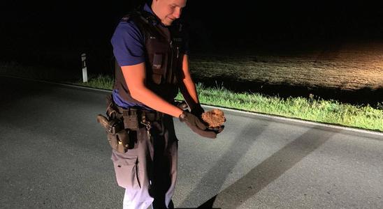 Ob der Igel wohl damit gerechnet hätte? Bild: Facebook / SHPol